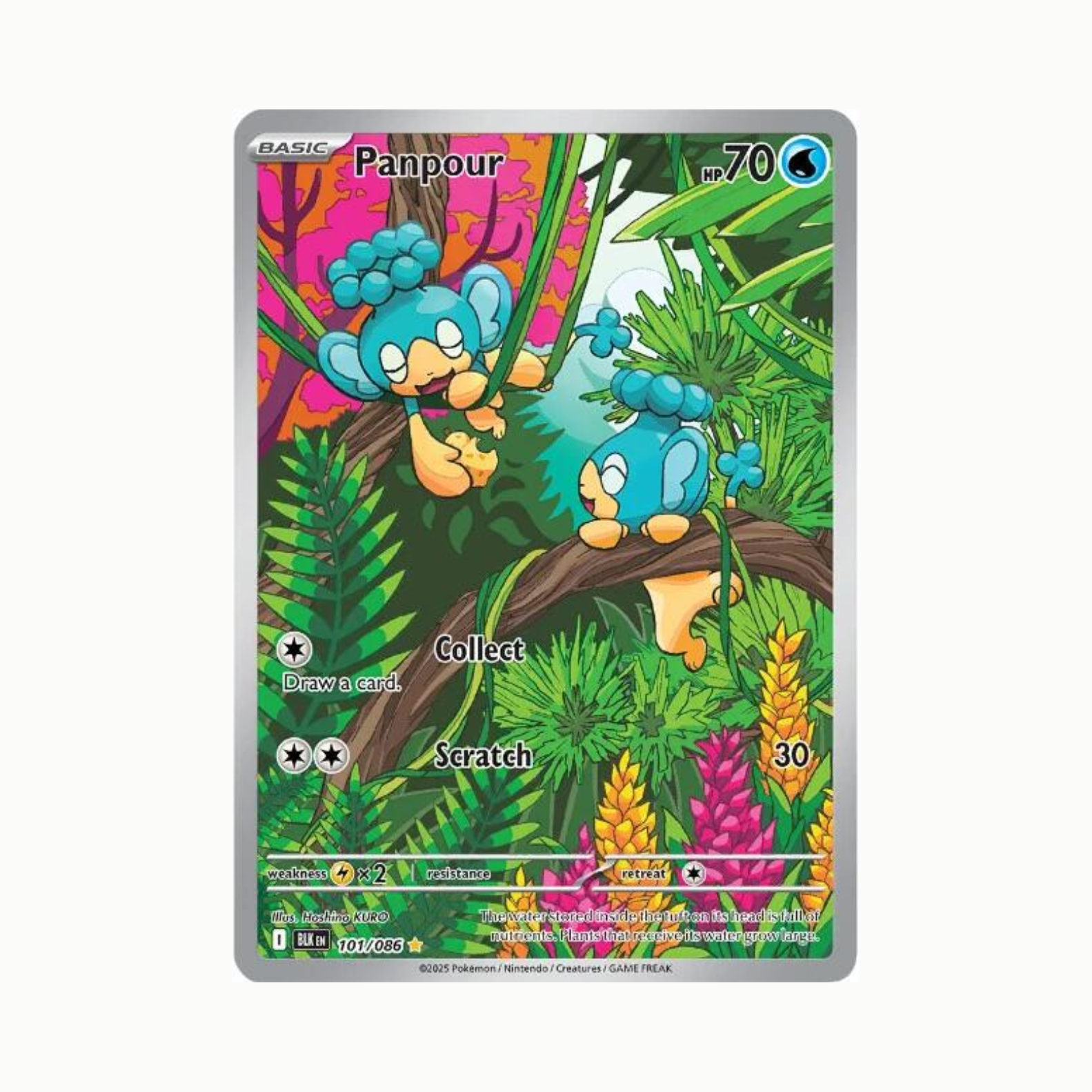 Panpour (BLK 101/086) Inglés